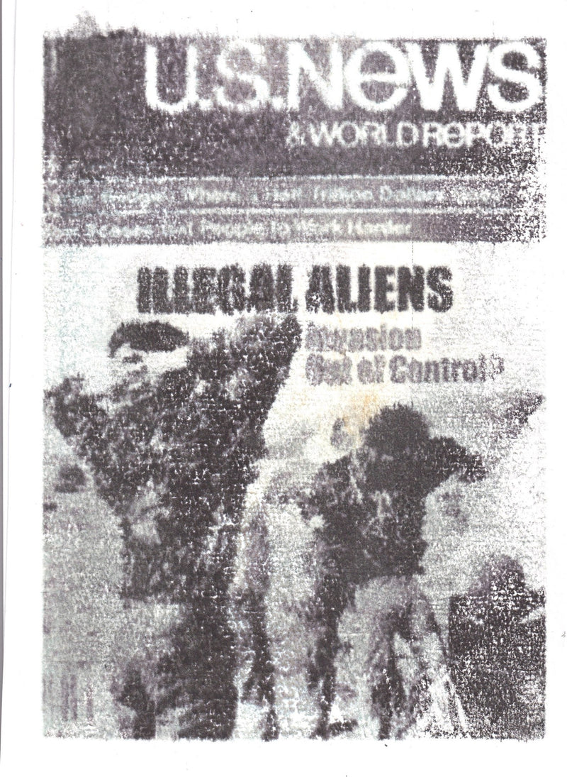 Illegal alien